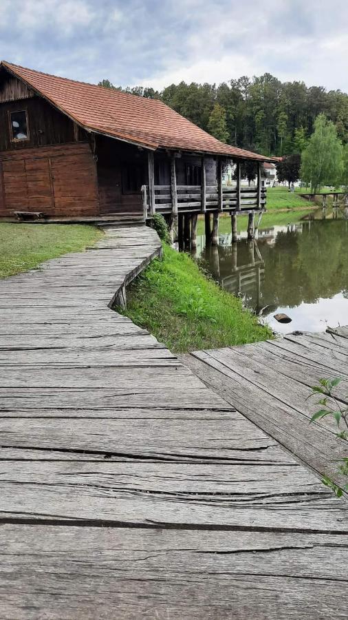 Apartman Abramovic Topusko Экстерьер фото